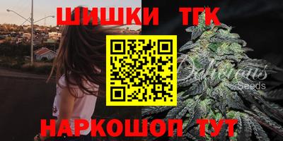 МДПВ Пенза