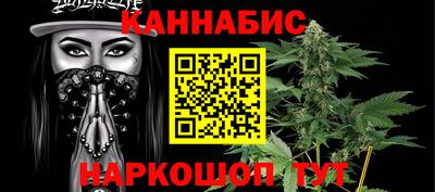 МДПВ Пенза