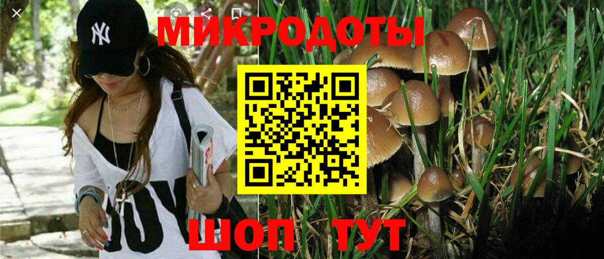 Псилоцибиновые грибы GOLDEN TEACHER  как найти наркотики  Сухой Лог  Вход с VPN 