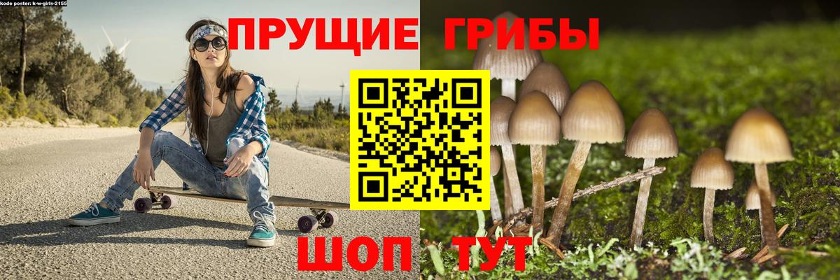 Псилоцибиновые грибы Magic Shrooms Сухой Лог
