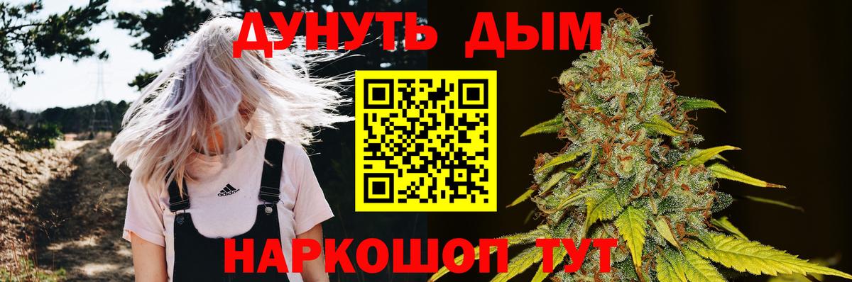 Бошки марихуана Amnesia Сухой Лог